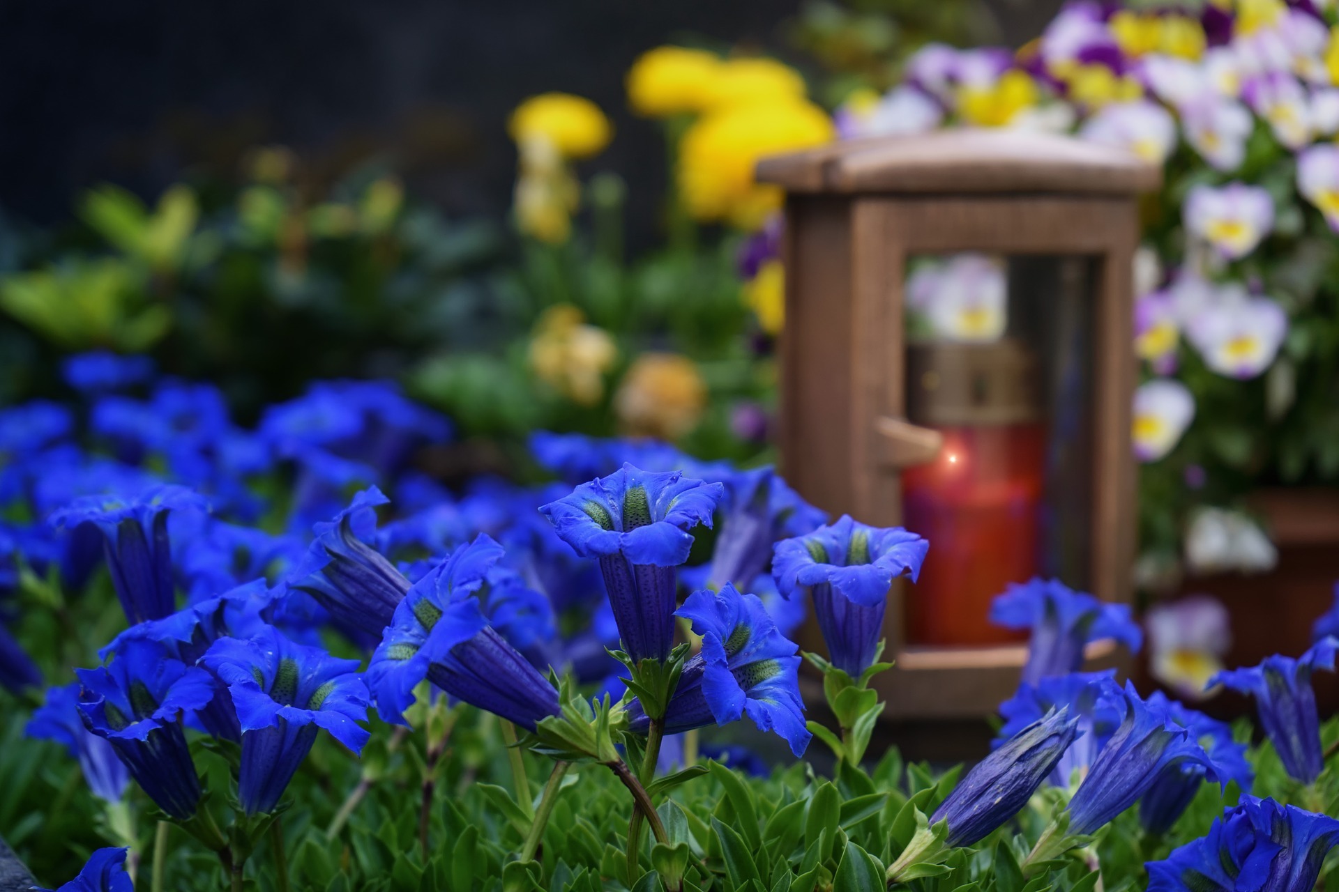 Blumen am Grab