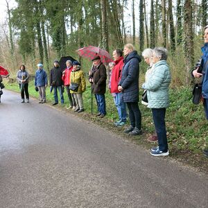 Kreuzweg am Schiltenberg