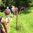 Pilgern auf der Via Nova / © Andrea Reisinger Pilgern auf der Via Nova