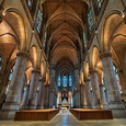 „Entwurzelung – die gefährlichste Krankheit“: Ausstellung im Linzer Mariendom / Erwin Wodicka - wodicka@aon.at