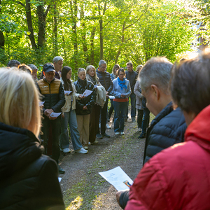 Maiandacht Goileithenweg